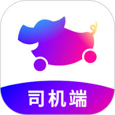 花小猪|猪太保
